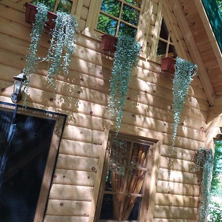 Вилла Brvnara Fairy Tale Цетине Экстерьер фото