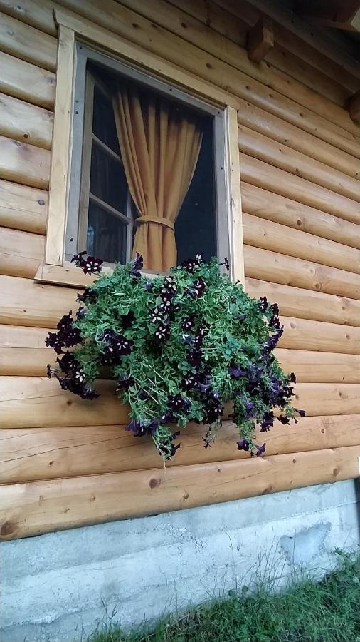 Вилла Brvnara Fairy Tale Цетине Экстерьер фото